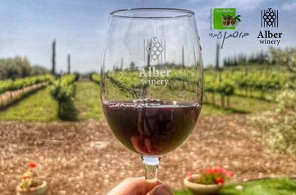 פיקניק רומנטי ביקב אלבר ראש פינה