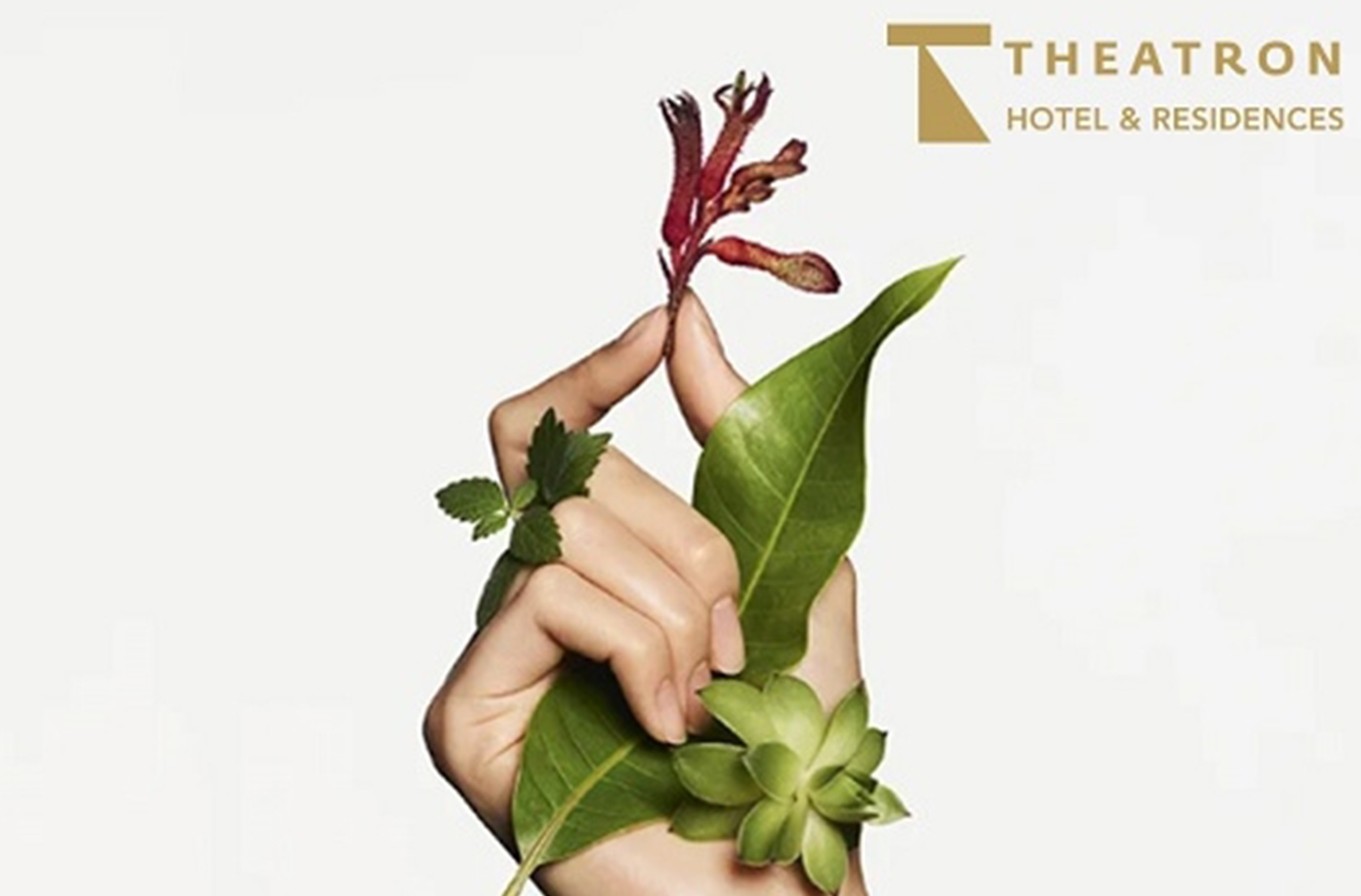 עיסוי הדגל של התאטרון 90 דקות ליחיד בספא קלרינס ירושלים עיסוי הדגל של התאטרון 90 דקות ליחיד בספא קלרינס ירושלים – תמונה 4